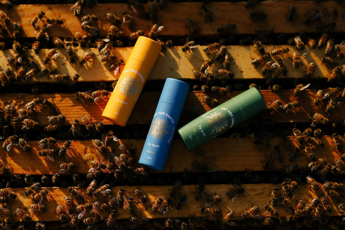 Best Lip Balm for Men: What Every Guy Should Know About Lip Care