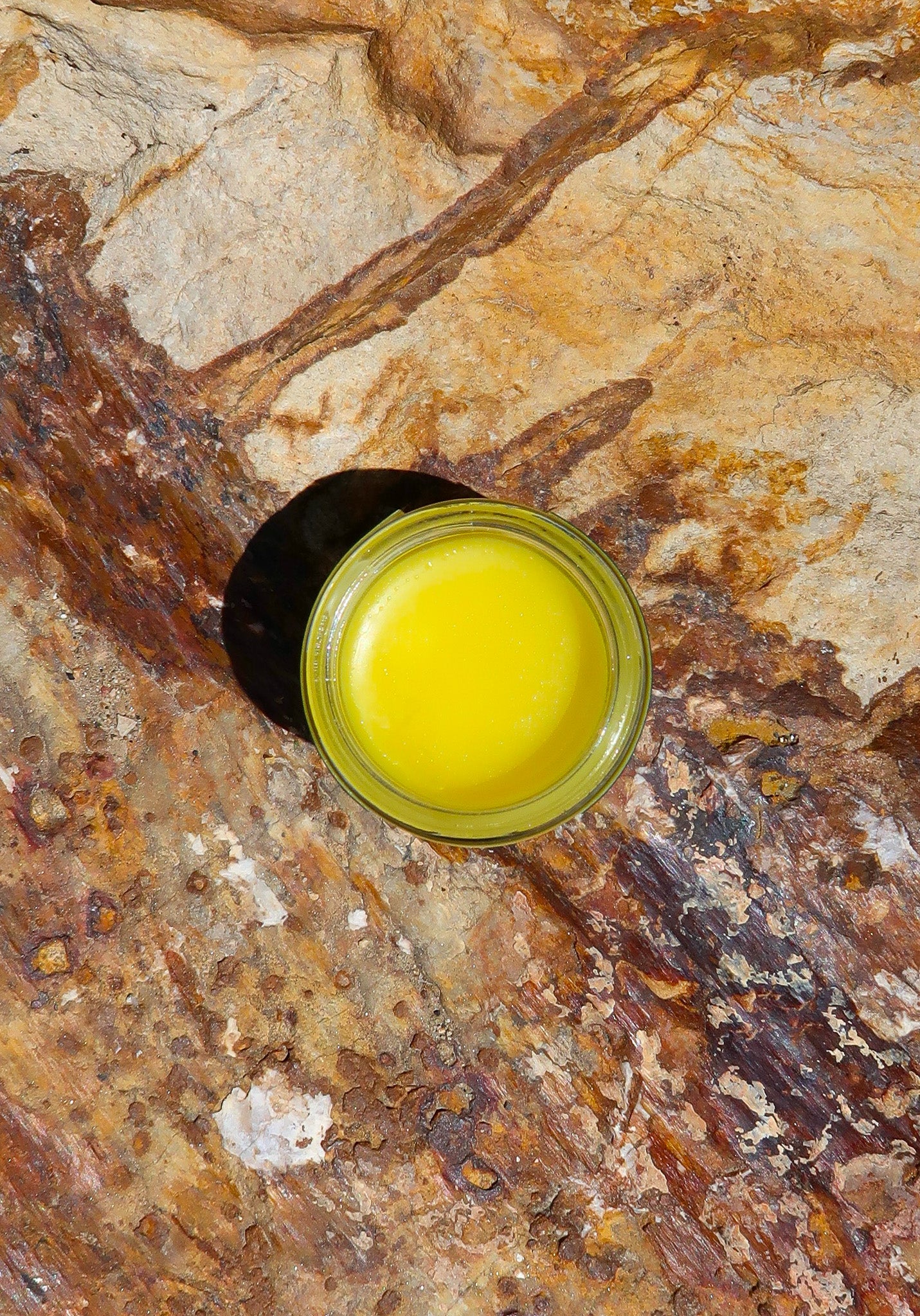 YFE X OLIVE ODYSSEY – Yay For Earth