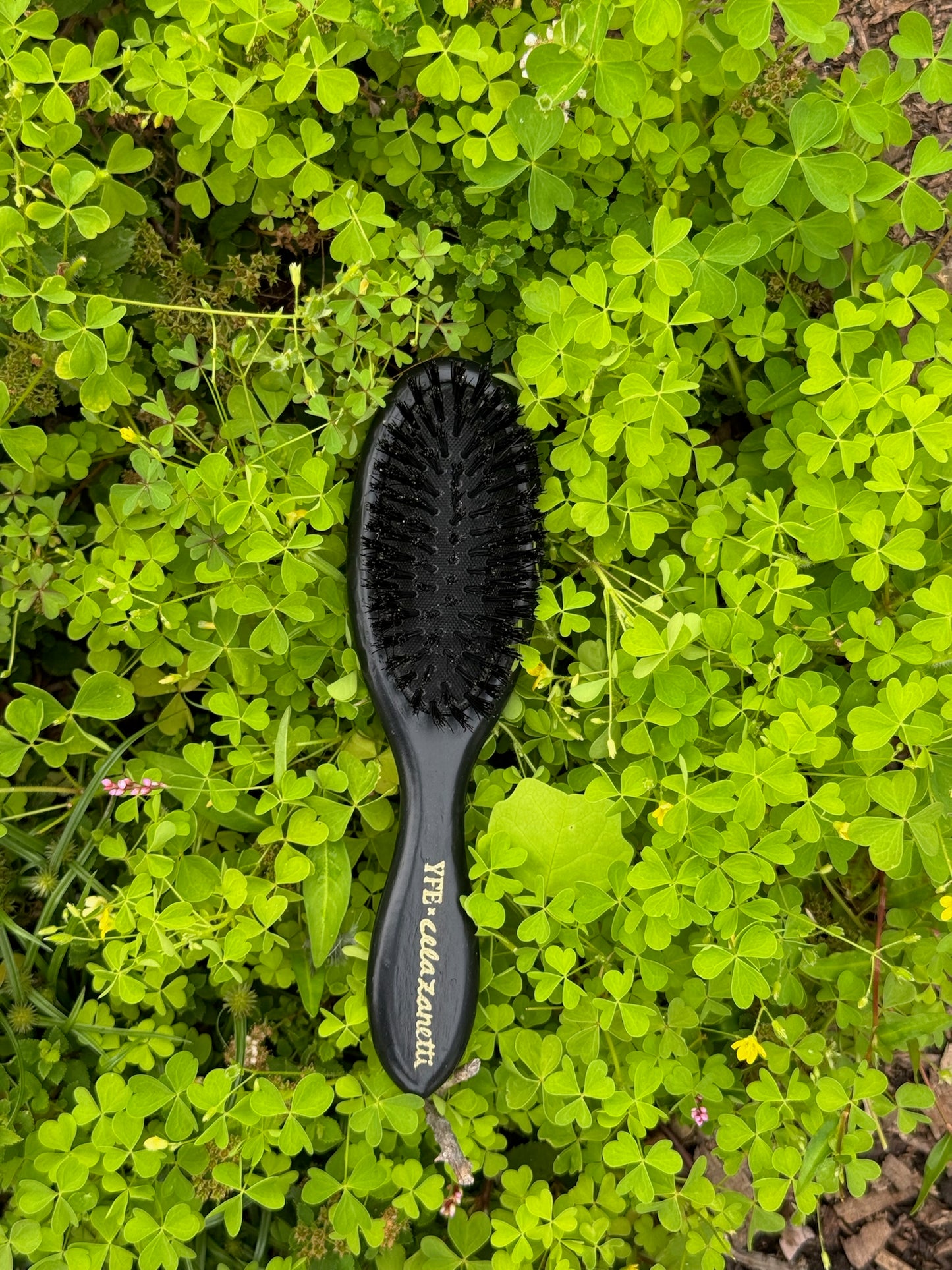 Pollinator Hairbrush - Hand Painted by Cellazanetti